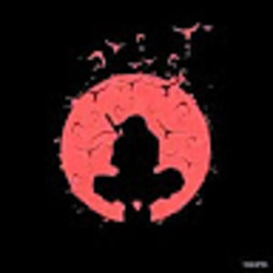 Meet your Posher, Diego